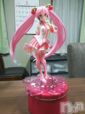 上越デリヘル HONEY(ハニー) なほみ(42)の3月19日写メブログ「桜ミクGET！」