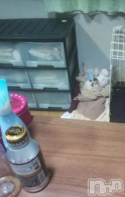 上越デリヘル HONEY(ハニー) なほみ(42)の9月2日写メブログ「半ギレモード」