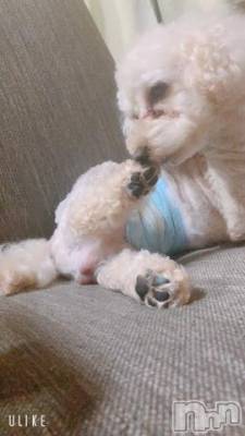 上越デリヘル HONEY(ハニー) なほみ(42)の9月4日写メブログ「HONEYの子はみんな優しい」