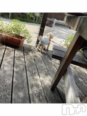 上越デリヘル HONEY(ハニー) なほみ(42)の9月30日写メブログ「なほみの日記割イベント♪」