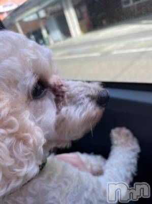 上越デリヘル HONEY(ハニー) なほみ(42)の10月11日写メブログ「なほみからのお願い」