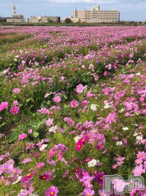 上越デリヘル HONEY(ハニー) なほみ(42)の11月1日写メブログ「なほみの出勤??」