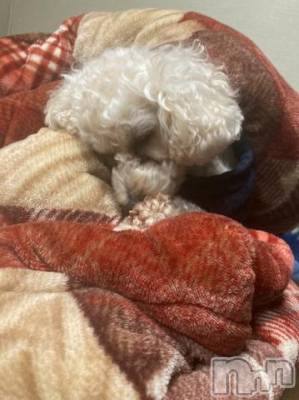 上越デリヘル HONEY(ハニー) なほみ(42)の2月23日写メブログ「LINE登録してね♪」