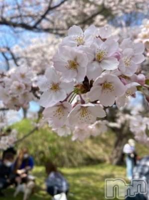 上越デリヘル HONEY(ハニー) なほみ(42)の4月21日写メブログ「21日は」