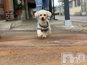 上越デリヘル HONEY(ハニー) なほみ(42)の5月9日写メブログ「御礼」