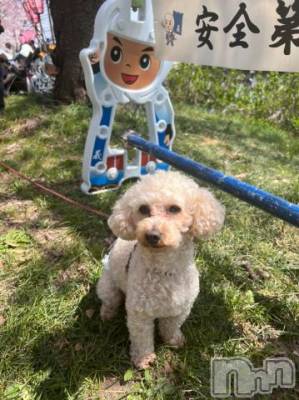 上越デリヘル HONEY(ハニー) なほみ(42)の5月12日写メブログ「今月の予定 訂正」