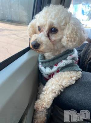 上越デリヘル HONEY(ハニー) なほみ(42)の5月26日写メブログ「お礼」