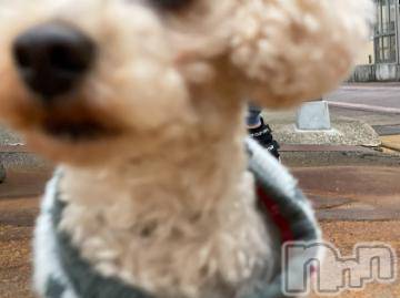 上越デリヘル HONEY(ハニー) なほみ(42)の5月29日写メブログ「昨日のお礼」