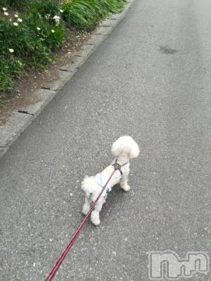 上越デリヘル HONEY(ハニー) なほみ(42)の6月8日写メブログ「なほみ今週の空き時間」