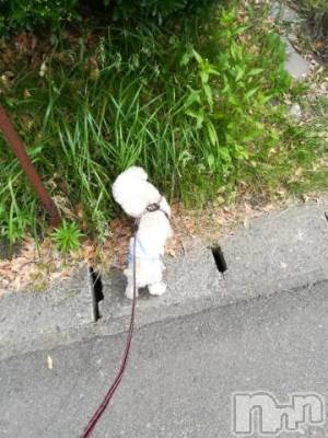 上越デリヘル HONEY(ハニー) なほみ(42)の6月9日写メブログ「なほみ空き時間の変更」