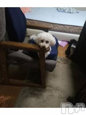 上越デリヘル HONEY(ハニー) なほみ(42)の8月4日写メブログ「(　´ ? ` )」