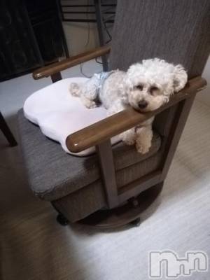 上越デリヘル HONEY(ハニー) なほみ(42)の8月27日写メブログ「おっはよー♪」