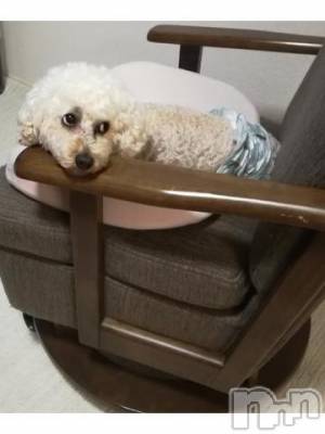 上越デリヘル HONEY(ハニー) なほみ(42)の9月9日写メブログ「なんとみほさんになぎささんに！」