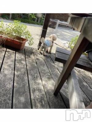 上越デリヘル HONEY(ハニー) なほみ(42)の9月16日写メブログ「来週から」