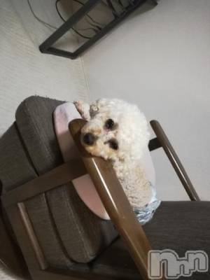 上越デリヘル HONEY(ハニー) なほみ(42)の9月18日写メブログ「明日以降」