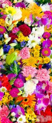 上越デリヘル HONEY(ハニー) なほみ(42)の9月30日写メブログ「事前予約状況」