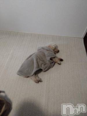 上越デリヘル HONEY(ハニー) なほみ(42)の10月8日写メブログ「事前予約状況とお礼」