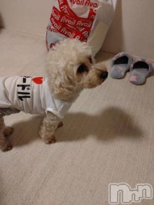 上越デリヘル HONEY(ハニー) なほみ(42)の10月19日写メブログ「事前予約状況」