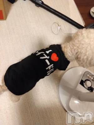 上越デリヘル HONEY(ハニー) なほみ(42)の10月25日写メブログ「予定」