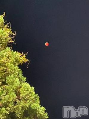 上越デリヘル HONEY(ハニー) なほみ(42)の11月8日写メブログ「見に来た～⸜( ˶'ᵕ'˶) ⸝」