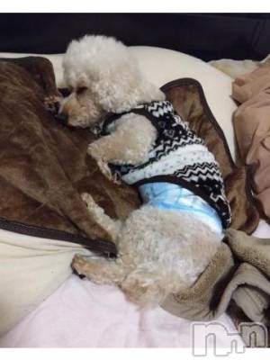 上越デリヘル HONEY(ハニー) なほみ(42)の1月21日写メブログ「本日の割引はなんと！」