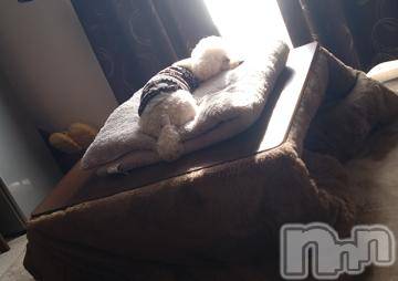 上越デリヘル HONEY(ハニー) なほみ(42)の1月29日写メブログ「今日のスタート空きました✨」