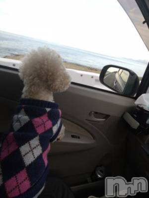 上越デリヘル HONEY(ハニー) なほみ(42)の3月21日写メブログ「ぷちゃんと糸魚川まで٩(ˊᗜˋ*)و」