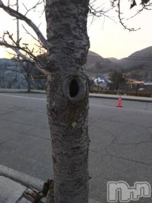 上越デリヘル HONEY(ハニー) なほみ(42)の3月23日写メブログ「大事なお知らせ コース、料金変更について」