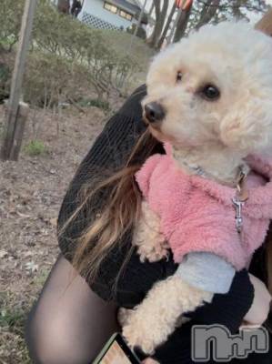 上越デリヘル HONEY(ハニー) なほみ(42)の4月2日写メブログ「火曜日から」