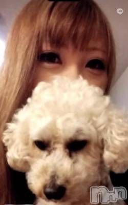 上越デリヘル HONEY(ハニー) なほみ(42)の4月6日写メブログ「ココ最近のお礼としんくさんのリピ様✨」