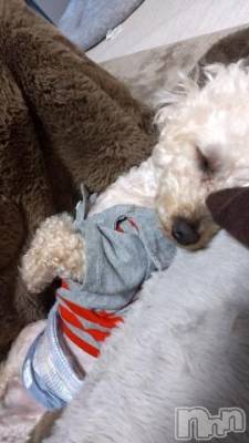 上越デリヘル HONEY(ハニー) なほみ(42)の5月1日写メブログ「この前のお礼が💦」