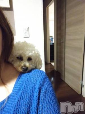 上越デリヘル HONEY(ハニー) なほみ(42)の5月23日写メブログ「肩ップー」