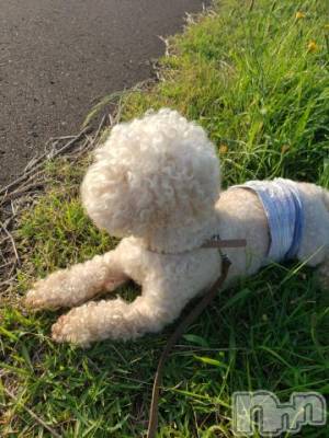 上越デリヘル HONEY(ハニー) なほみ(42)の6月18日写メブログ「きのうのお礼💌＆ちあきちゃん着✨＆」