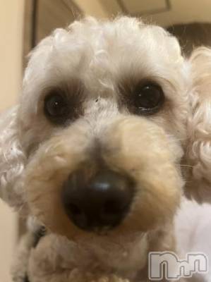 上越デリヘル HONEY(ハニー) なほみ(42)の8月6日写メブログ「大変(✘д✘๑;) ³₃」