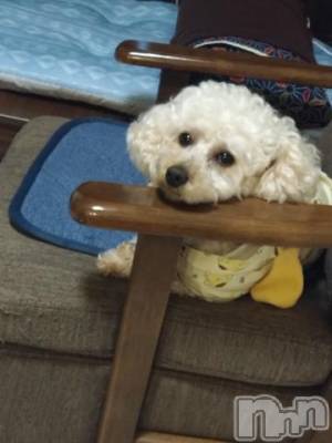 上越デリヘル HONEY(ハニー) なほみ(42)の9月30日写メブログ「日記書いたんだけど📖☡✍」