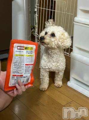 上越デリヘル HONEY(ハニー) なほみ(42)の10月9日写メブログ「お得なイベント🎪✨」