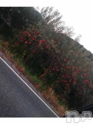 上越デリヘル HONEY(ハニー) なほみ(42)の10月18日写メブログ「わーい🙌お礼と予定と面接も」