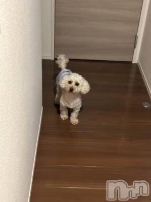 上越デリヘル HONEY(ハニー) なほみ(42)の10月19日写メブログ「みんな家族みたい🏡⋆*( ˊᵕˋ )」