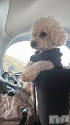 上越デリヘル HONEY(ハニー) なほみ(42)の10月30日写メブログ「なんということでしょう💦」