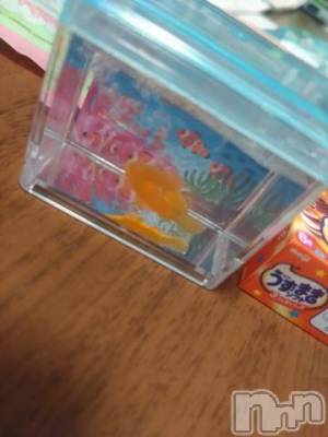 上越デリヘル HONEY(ハニー) なほみ(42)の11月23日写メブログ「明日からまたやわやわと」