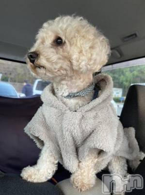 上越デリヘル HONEY(ハニー) なほみ(42)の11月25日写メブログ「お礼✨と来週の予定」