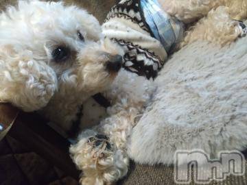 上越デリヘル HONEY(ハニー) なほみ(42)の12月3日写メブログ「すごい好評で✨昨日も今日も✨」