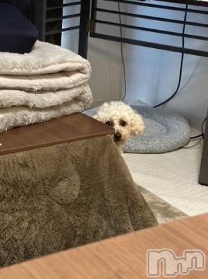 上越デリヘル HONEY(ハニー) なほみ(42)の1月9日写メブログ「なほみの出勤やら女の子のご紹介✨」