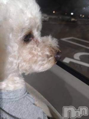 上越デリヘル HONEY(ハニー) なほみ(42)の5月6日写メブログ「ご報告☀️🍉🌻🏊」