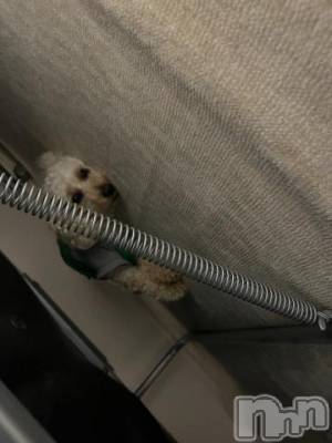 上越デリヘル HONEY(ハニー) なほみ(42)の5月7日写メブログ「ナホミノヒトリゴト🌞」