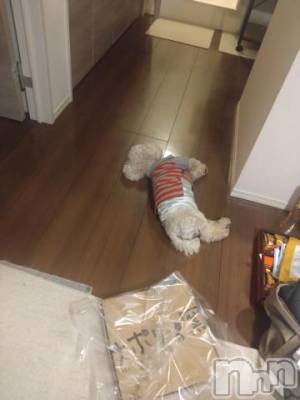 上越デリヘル HONEY(ハニー) なほみ(42)の9月11日写メブログ「大統領選‎🤔1人で語る」