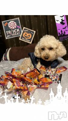 上越デリヘル HONEY(ハニー) なほみ(42)の10月17日写メブログ「クレームに関しての対応」