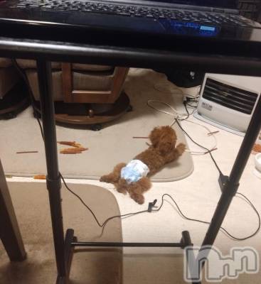 上越デリヘル HONEY(ハニー) なほみ(42)の11月4日写メブログ「なほみの出勤🍁🍂 🎄🎅🏻 🎍⛩🌅」