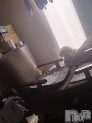 上越デリヘル HONEY(ハニー) なほみ(42)の11月6日写メブログ「本日受付開始は10:30～新しい受付の方も✨」