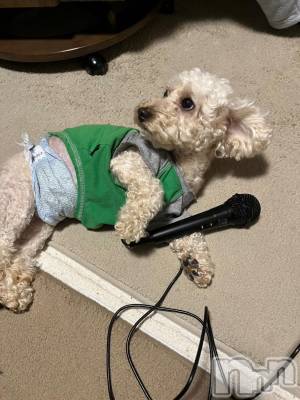 上越デリヘル HONEY(ハニー) なほみ(42)の11月29日写メブログ「もうじき12月⛄️❄️✨」